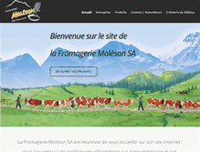 Tablet Screenshot of moleson-sa.ch